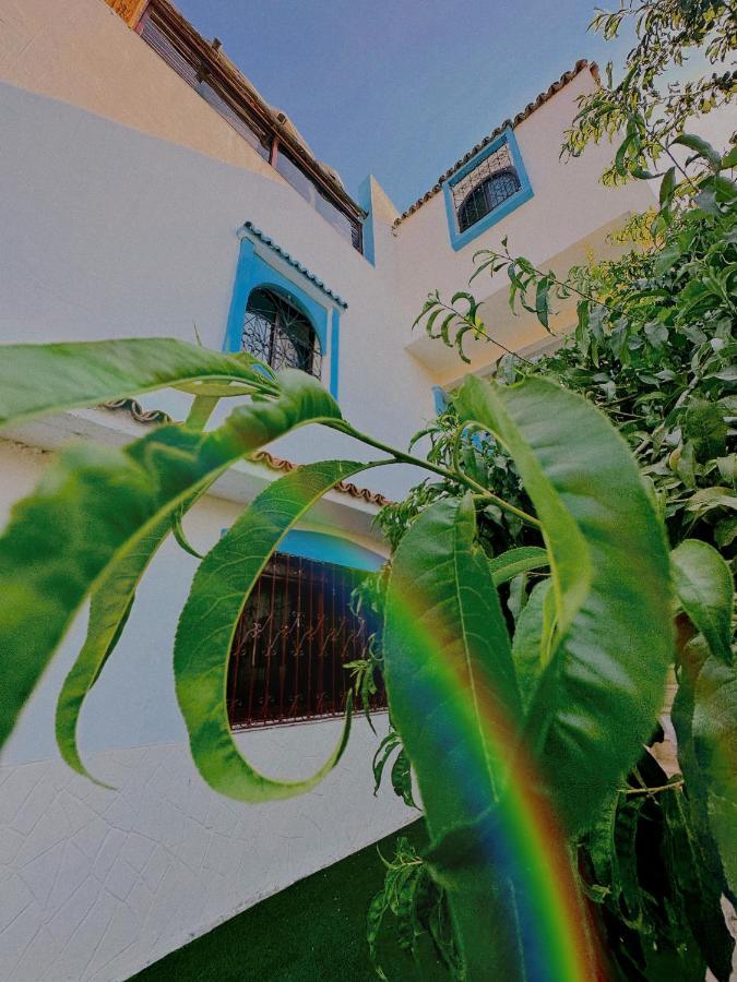 Auberge Dalia Chefchaouen Buitenkant foto