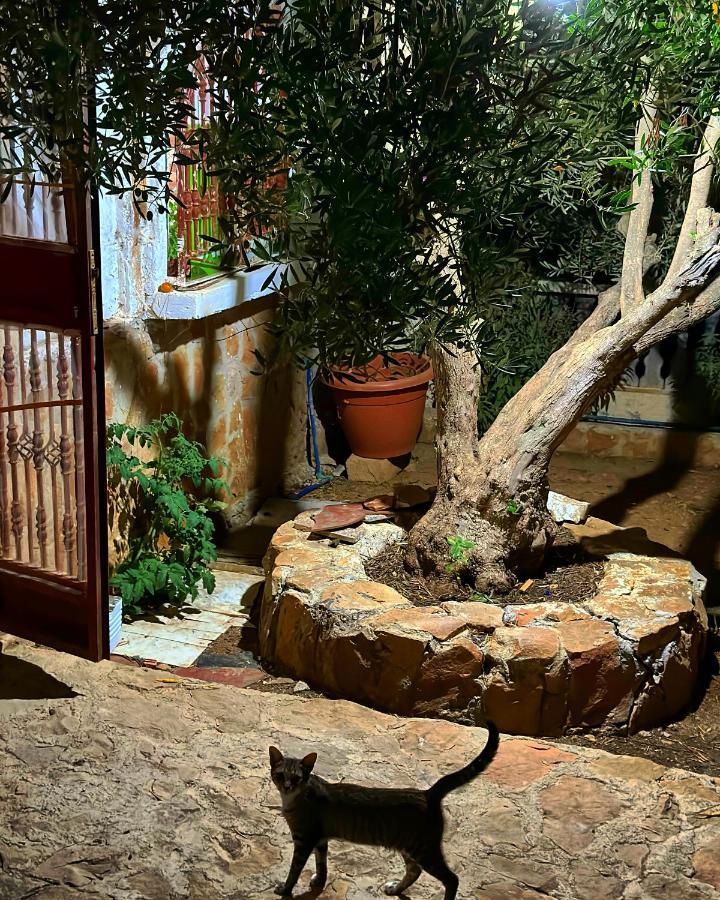 Auberge Dalia Chefchaouen Buitenkant foto